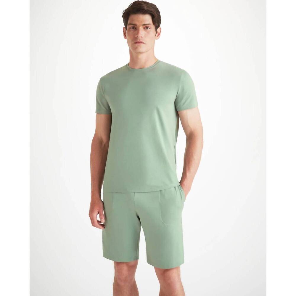 NEW DEREK ROSE basel micro modal stretch t-shirt in eucalyptus